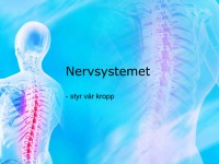/album/nervsystemet/a6-nervsystemet-001-jpeg/